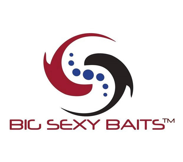 Big Sexy Baits - 2024 Update