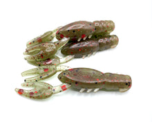 Load image into Gallery viewer, NQ 2.5" Ned Crawesome